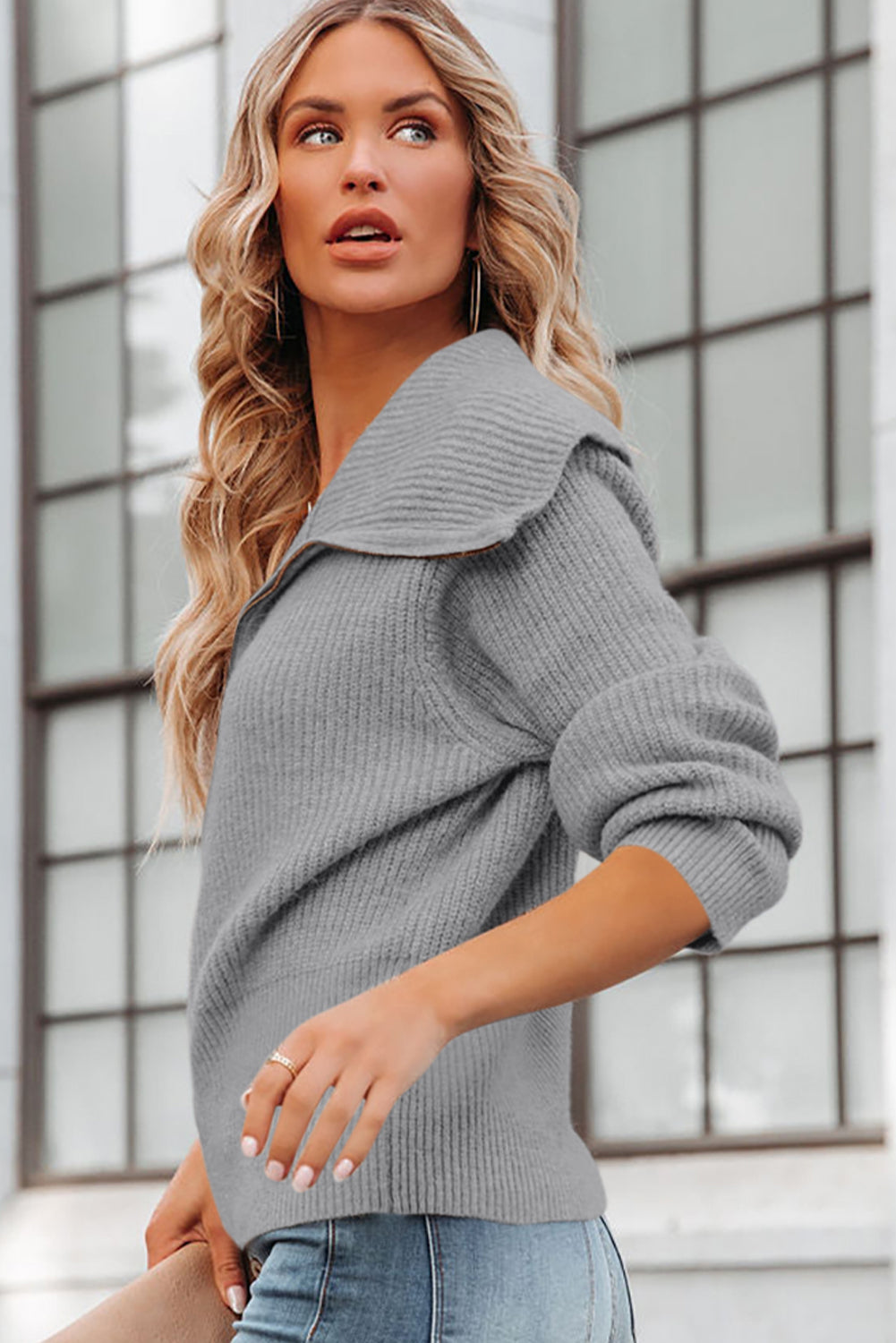 Zip Up Long Sleeve Cardigan - Classique Collection