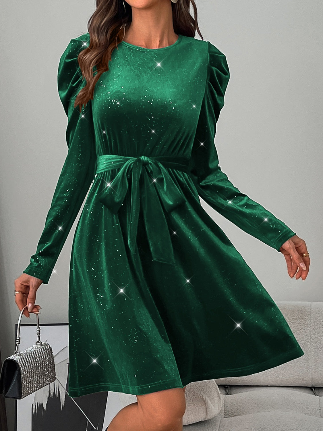 Glitter Round Neck Puff Sleeve Dress - Classique Collection