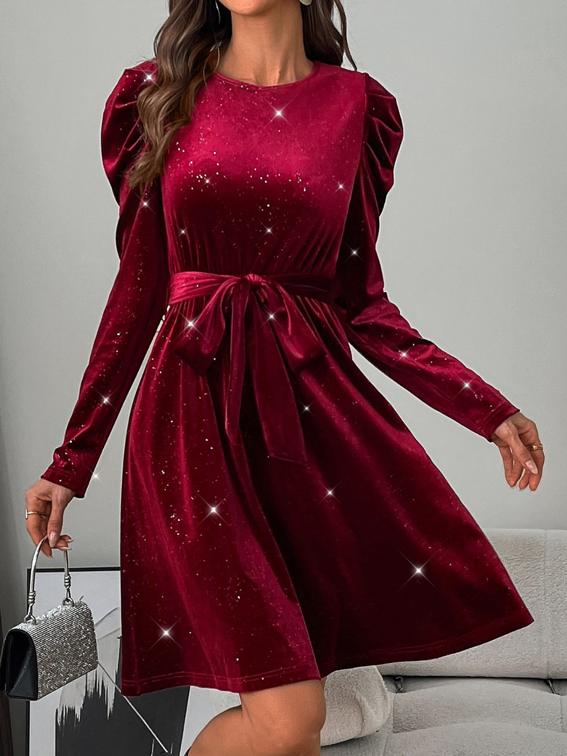 Glitter Round Neck Puff Sleeve Dress - Classique Collection
