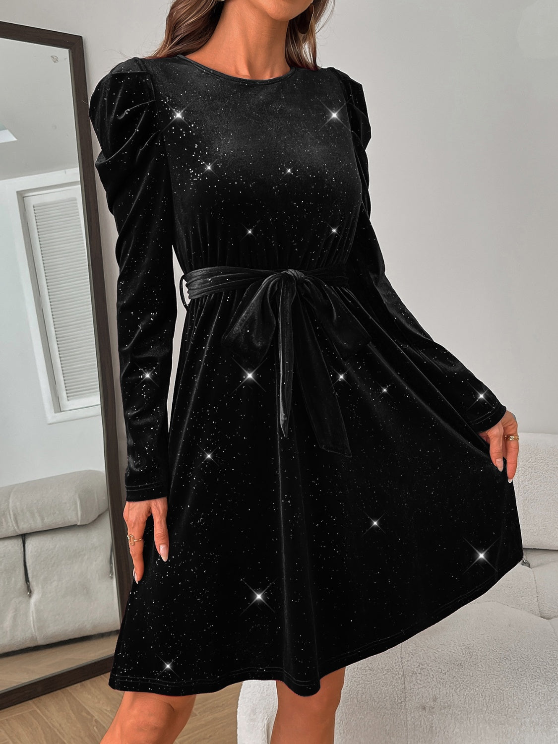 Glitter Round Neck Puff Sleeve Dress - Classique Collection