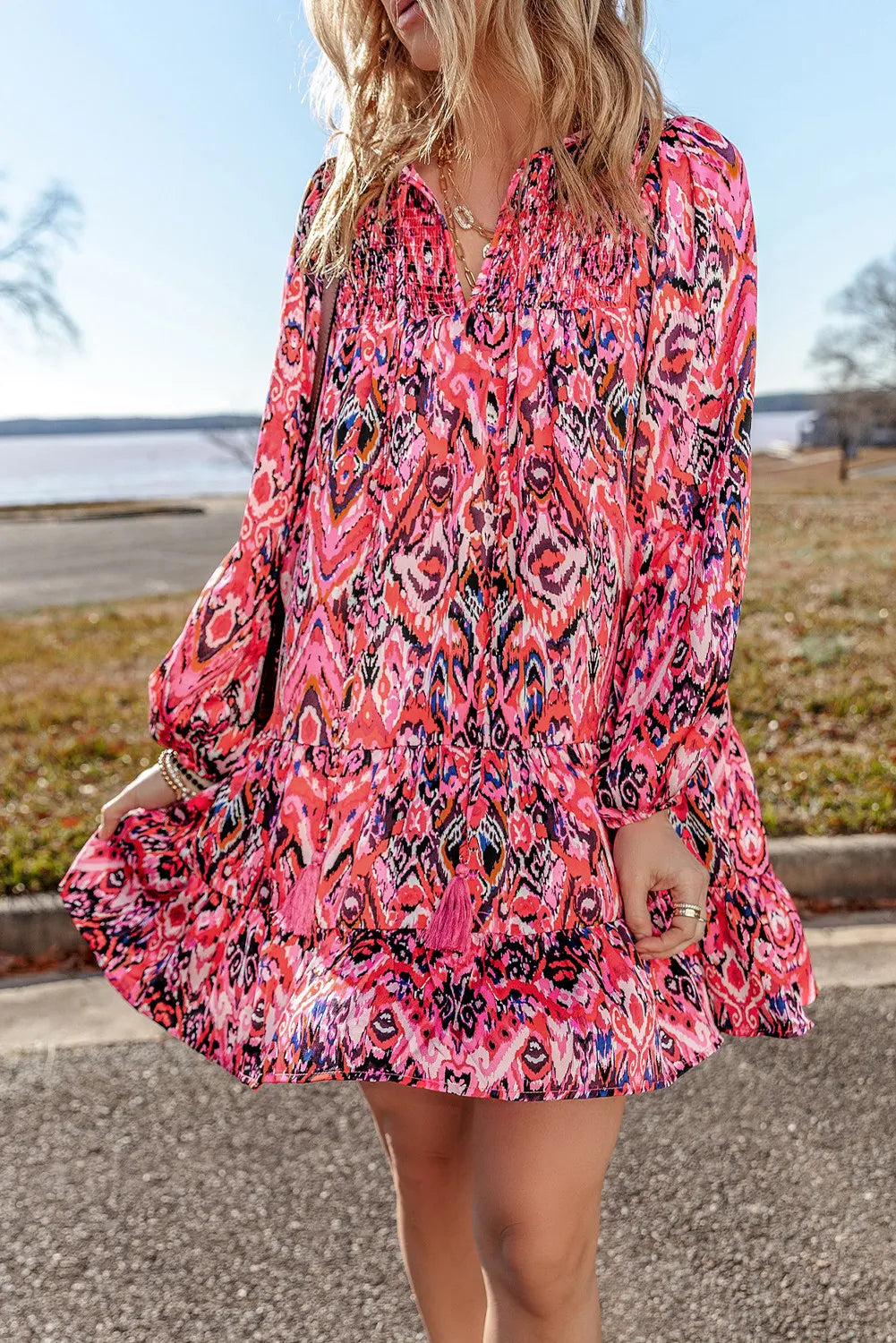 Tassel Printed Tie Neck Long Sleeve Dress - Classique Collection