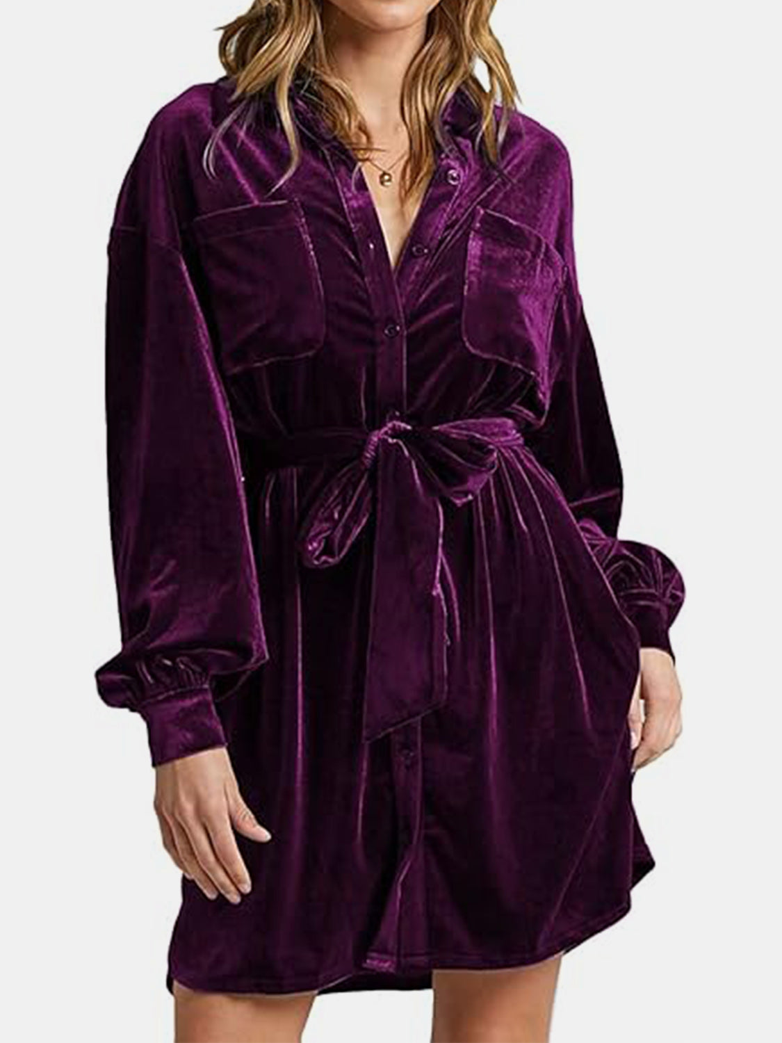 Collared Neck Button Down Long Sleeve Mini Dress - Classique Collection