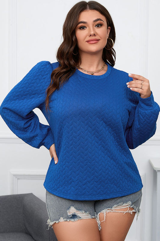 Plus Size Textured Round Neck Long Sleeve Top - Classique Collection