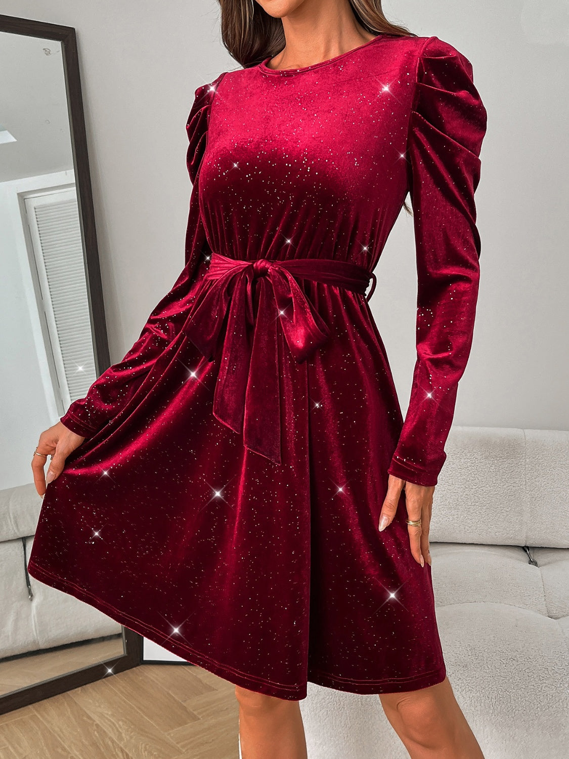 Glitter Round Neck Puff Sleeve Dress - Classique Collection