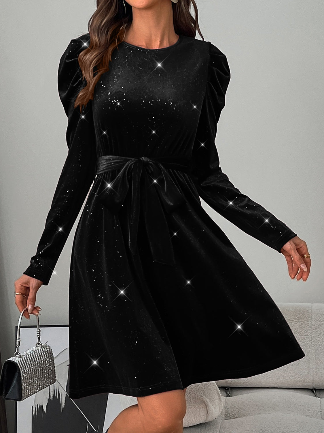 Glitter Round Neck Puff Sleeve Dress - Classique Collection