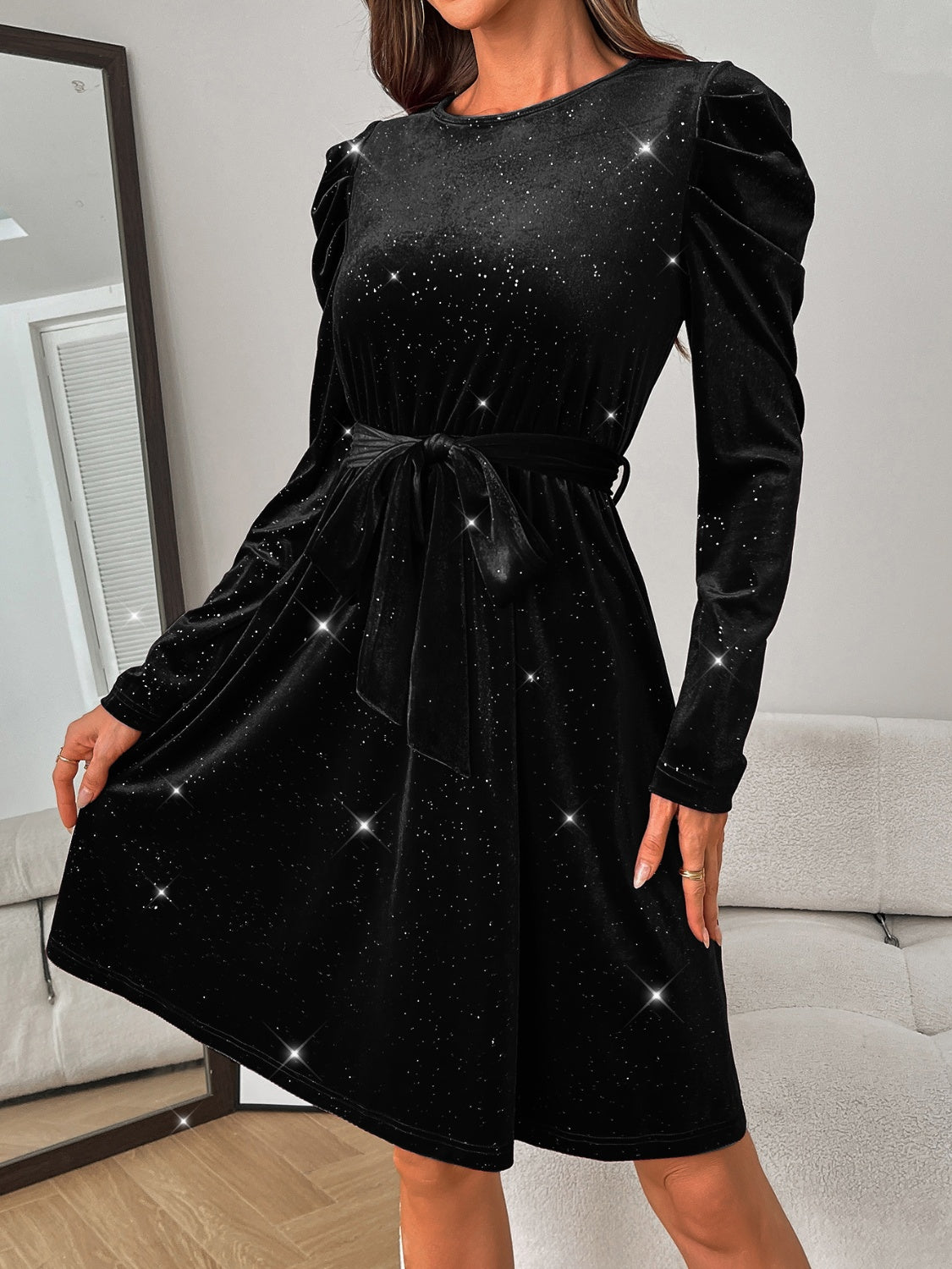 Glitter Round Neck Puff Sleeve Dress - Classique Collection