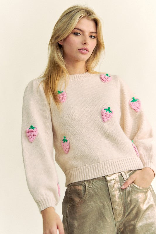 Davi & Dani Crochet Strawberry Round Neck Sweater - Classique Collection