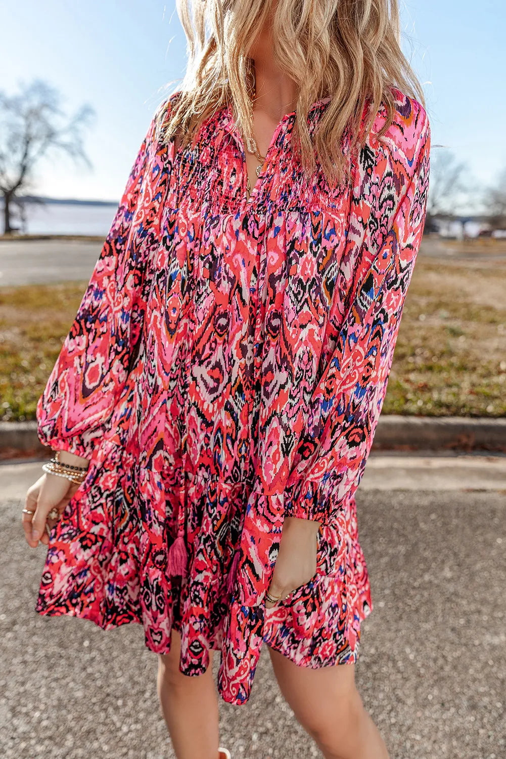 Tassel Printed Tie Neck Long Sleeve Dress - Classique Collection