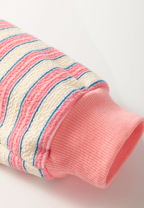 Striped Johnny Collar Long Sleeve Sweatshirt - Classique Collection