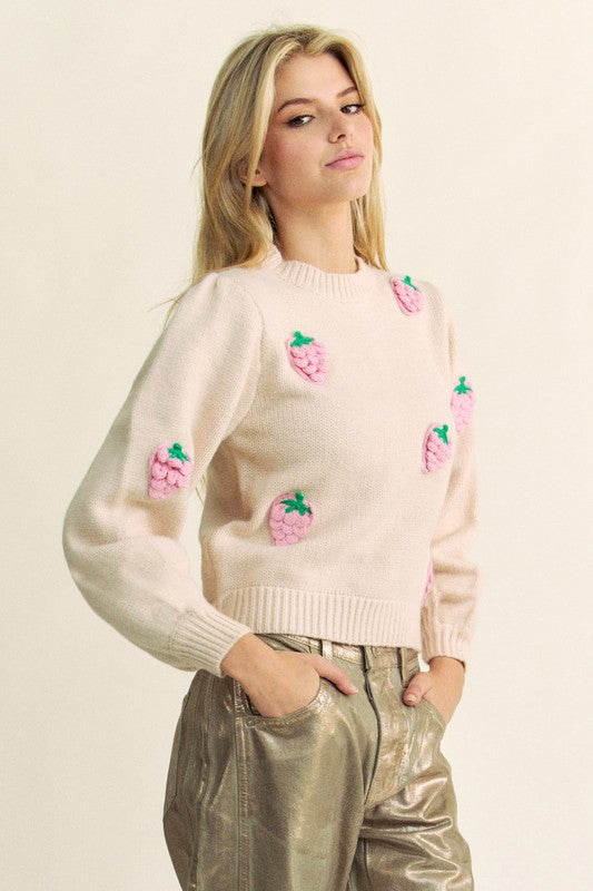Davi & Dani Crochet Strawberry Round Neck Sweater - Classique Collection