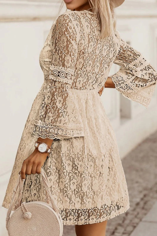 Lace V - Neck Three - Quarter Sleeve Dress