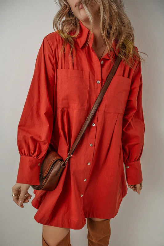 Pocketed Button Down Long Sleeve Shirt Dress - Classique Collection
