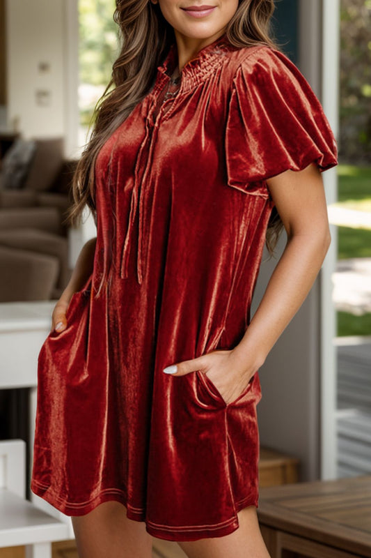 Velvet Tie Neck Short Sleeve Mini Dress - Classique Collection