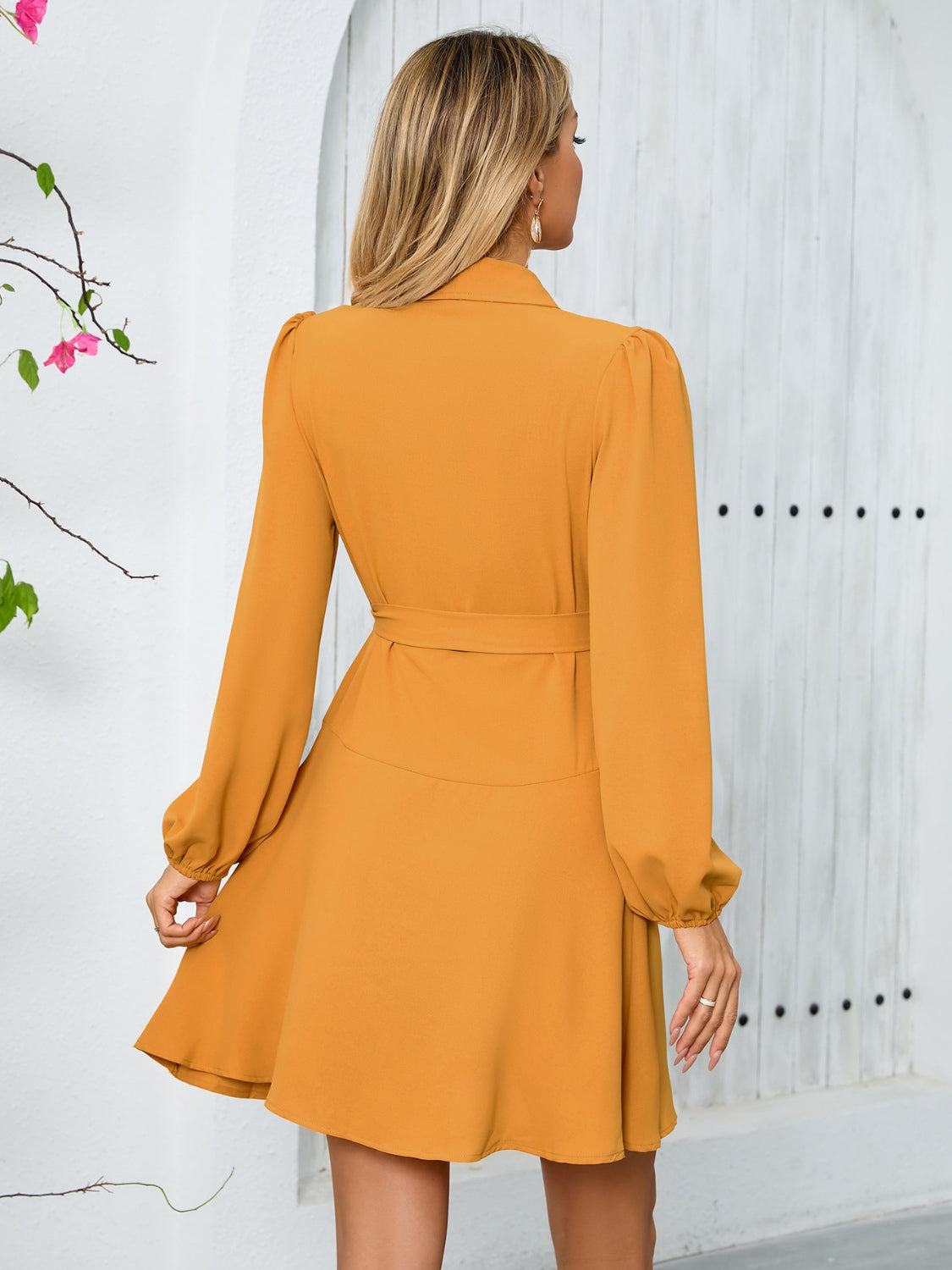Surplice Tie Waist Long Sleeve Mini Dress - Classique Collection
