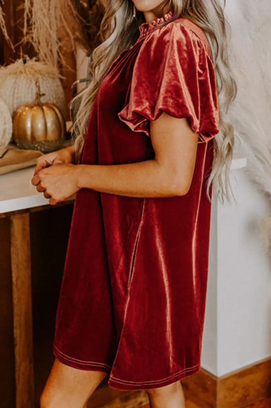 Velvet Tie Neck Short Sleeve Mini Dress - Classique Collection