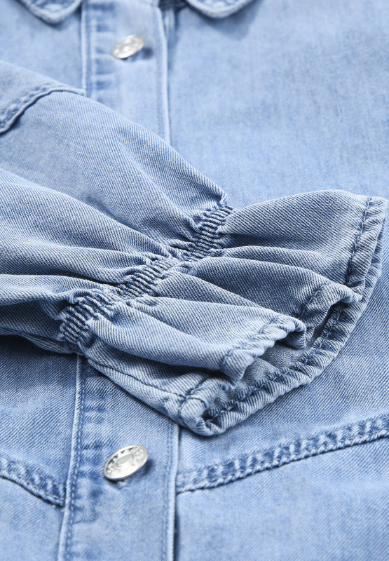 Distressed Collared Neck Flounce Sleeve Denim Dress - Classique Collection