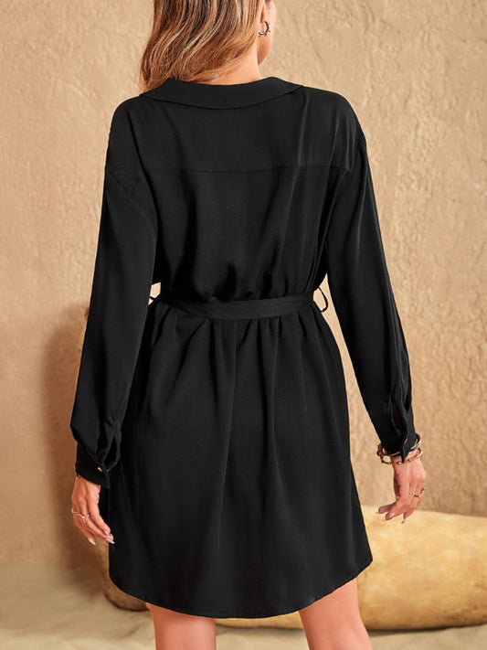 Collared Neck Long Sleeve Mini Dress - Classique Collection