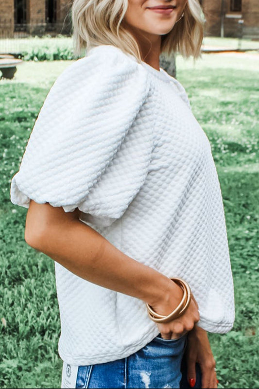 Textured Round Neck Puff Sleeve Blouse - Classique Collection