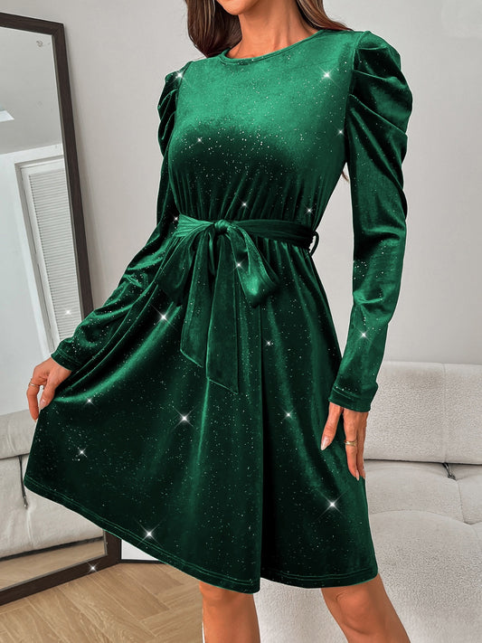 Glitter Round Neck Puff Sleeve Dress - Classique Collection