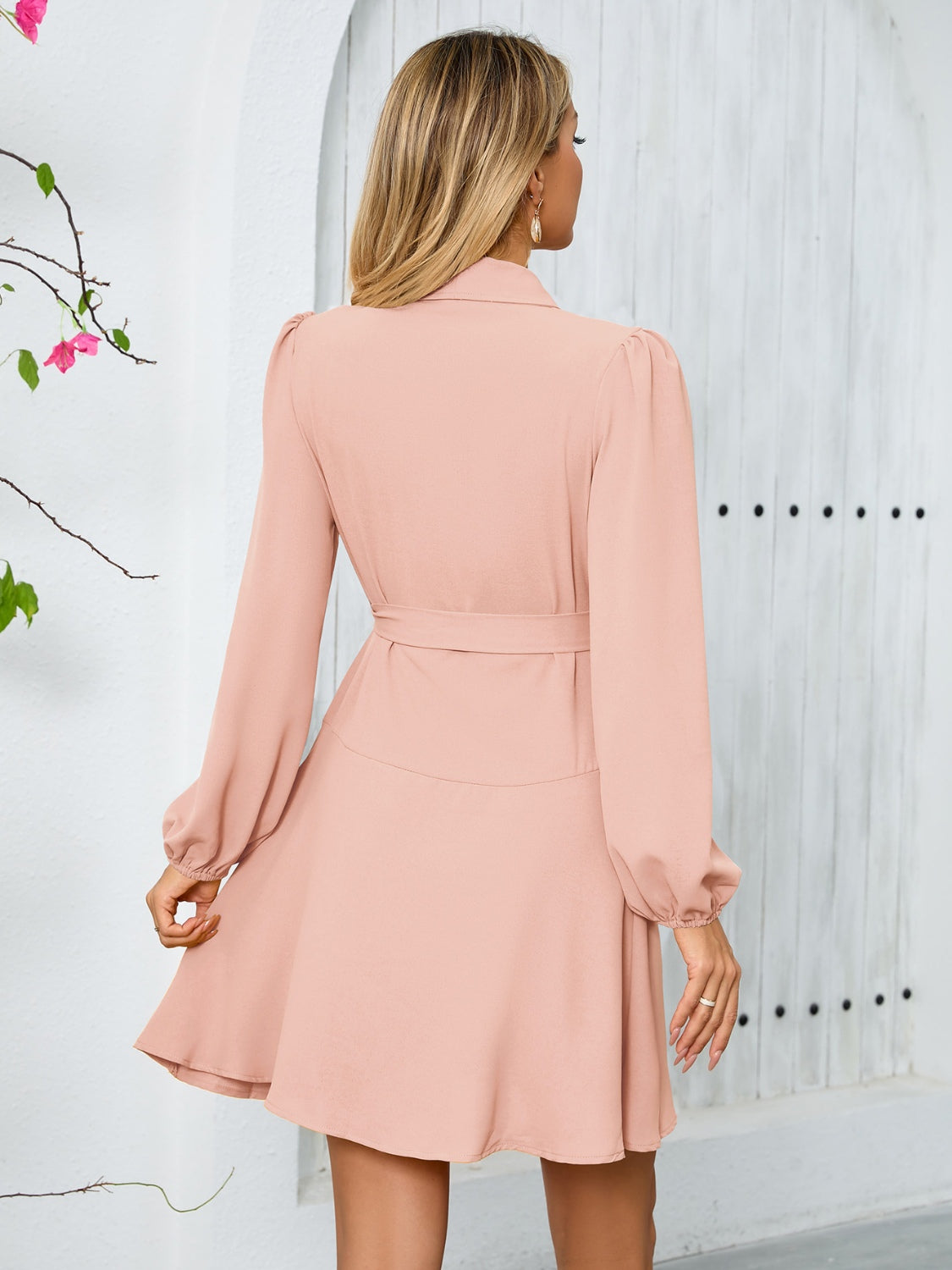 Surplice Tie Waist Long Sleeve Mini Dress - Classique Collection