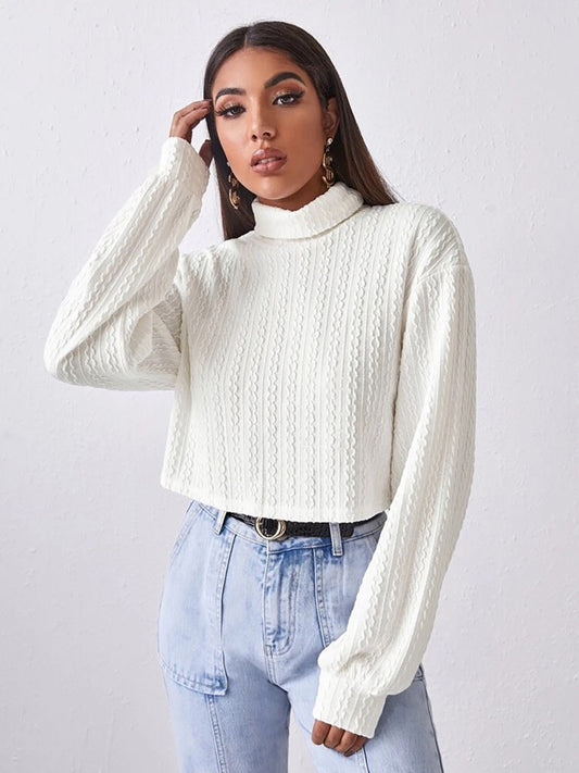 Turtleneck Long Sleeve Top - Classique Collection