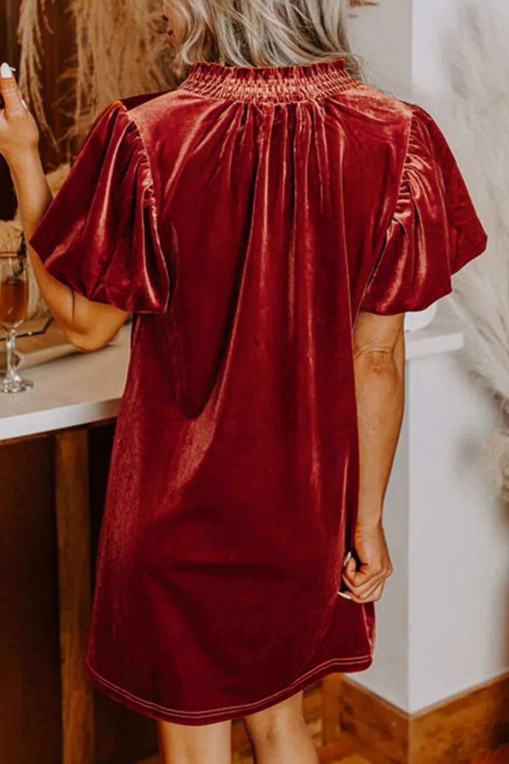 Velvet Tie Neck Short Sleeve Mini Dress - Classique Collection
