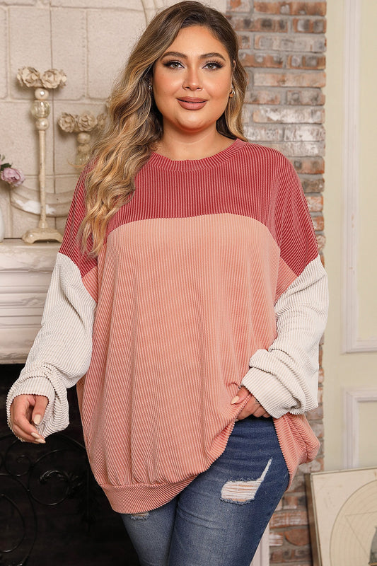 Plus Size Color Block Long Sleeve Top - Classique Collection